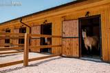 10589 County Road 102 - Photo 46