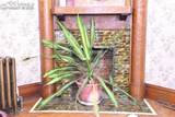 225 Evans Avenue - Photo 9