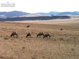 2030 Puma Hills Road - Photo 21
