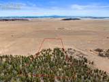 2030 Puma Hills Road - Photo 4