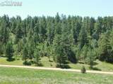4668 Comanche Drive - Photo 17