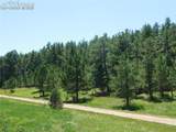 4668 Comanche Drive - Photo 21