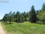 4668 Comanche Drive - Photo 23