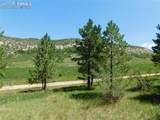 4668 Comanche Drive - Photo 31