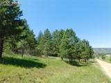 4668 Comanche Drive - Photo 37
