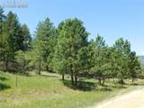 4668 Comanche Drive - Photo 39