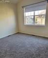 4223 Alder Springs View - Photo 23