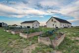 6898 Otoole Drive - Photo 45