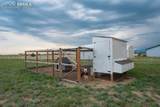6898 Otoole Drive - Photo 46