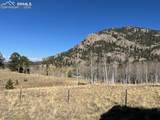 206 Emerald Way - Photo 17