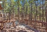 16206 Red Fox Lane - Photo 42