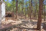 16206 Red Fox Lane - Photo 47