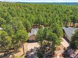 16206 Red Fox Lane - Photo 48