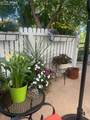 6838 Los Reyes Circle - Photo 7