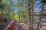 1151 Terrace Road - Photo 44