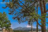 401 Forest Edge Road - Photo 8