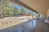 1235 Cottontail Trail - Photo 16