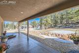 1235 Cottontail Trail - Photo 17