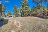 1235 Cottontail Trail - Photo 46