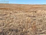 1 Mulberry Road - Photo 4
