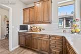16231 Thunder Cat Way - Photo 14