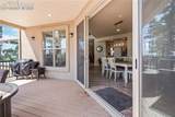 16231 Thunder Cat Way - Photo 39