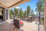 16231 Thunder Cat Way - Photo 40
