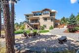 16231 Thunder Cat Way - Photo 42