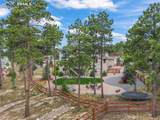 16231 Thunder Cat Way - Photo 45