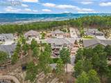 16231 Thunder Cat Way - Photo 46
