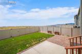 7961 Buffalo Horn Drive - Photo 34