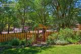 102 Holly Street - Photo 95