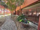 31 Boulder Street - Photo 8