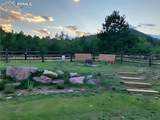 481 Black Bear Trail - Photo 31