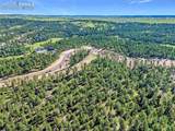 14832 Quartz Creek Road - Photo 8