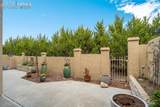 7854 Antigua Point - Photo 41