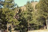 7275 Highway 9 - Photo 13
