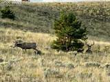 7275 Highway 9 - Photo 14