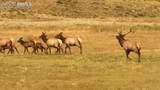 7275 Highway 9 - Photo 15