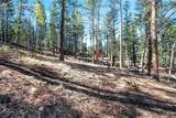 55 Ponderosa Lane - Photo 46