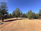 2627 Pikes Peak Drive - Photo 52