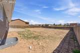 774 Watermelon Drive - Photo 43