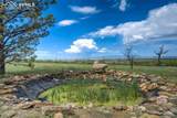8290 Soap Weed Road - Photo 37