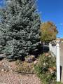 8342 Silver Glen Drive - Photo 36