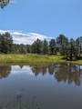 16660 Wild Horseshoe View - Photo 14