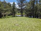 16660 Wild Horseshoe View - Photo 15