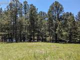 16660 Wild Horseshoe View - Photo 16