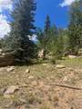 987 Eagle Rock Road - Photo 10
