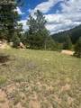 987 Eagle Rock Road - Photo 11