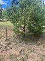 987 Eagle Rock Road - Photo 16